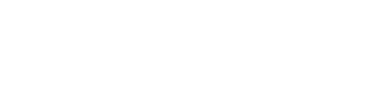 Leads Inc.